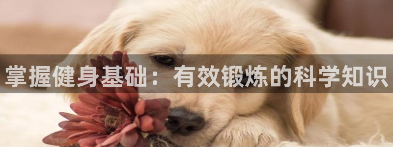 QY球友会体育官网
